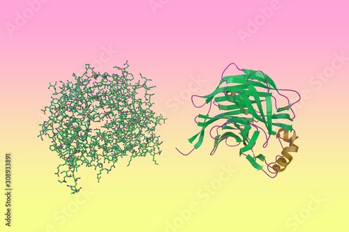 Molecular model and crystal structure of the measles virus hemagglutinin on colorful background. Scientific background. 3d illustration photo