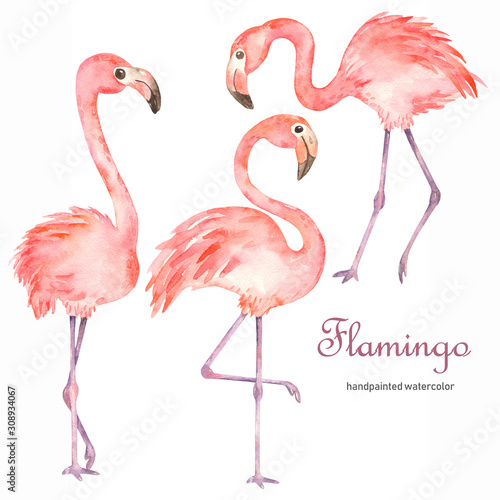 Watercolor set with pink cute flamingos © MarinaErmakova
