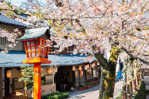 Obraz na płótnie Kinosaki Onsen village with spring cherry blossoms in Hyogo, Japan w salonie