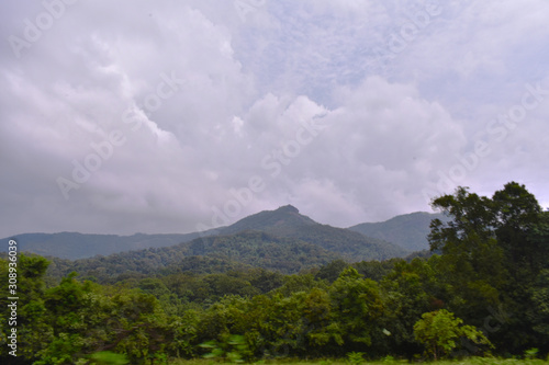 Wallpaper Mural beautiful hill covered by forest with a cloudy sky Torontodigital.ca