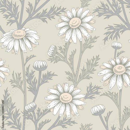 Vector seamless pattern with flowers of chamomile.