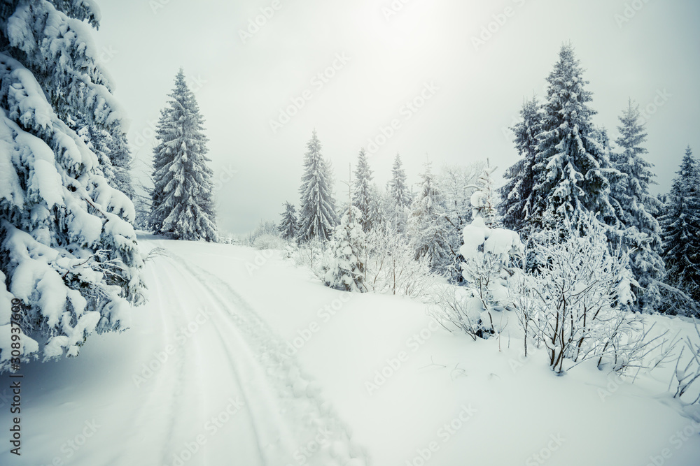 Beautiful mesmerizing harsh fog landscape Beautiful mesmerizing harsh fog landscape