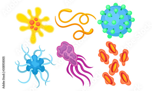 Bacterias and Germs Collection  Different Types of Microbes  Viruses  Protozoans Vector Illustration