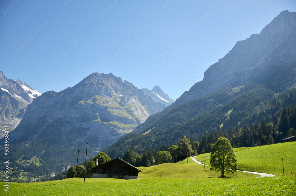 A breezy summer with beautiful greenery during the way to Jungfraujoch, Switzerland.