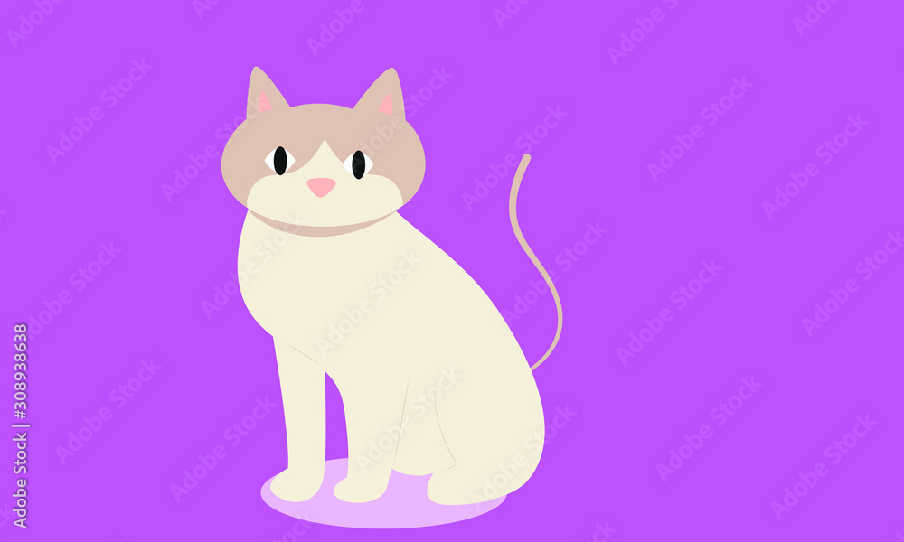 Fototapeta premium Cat