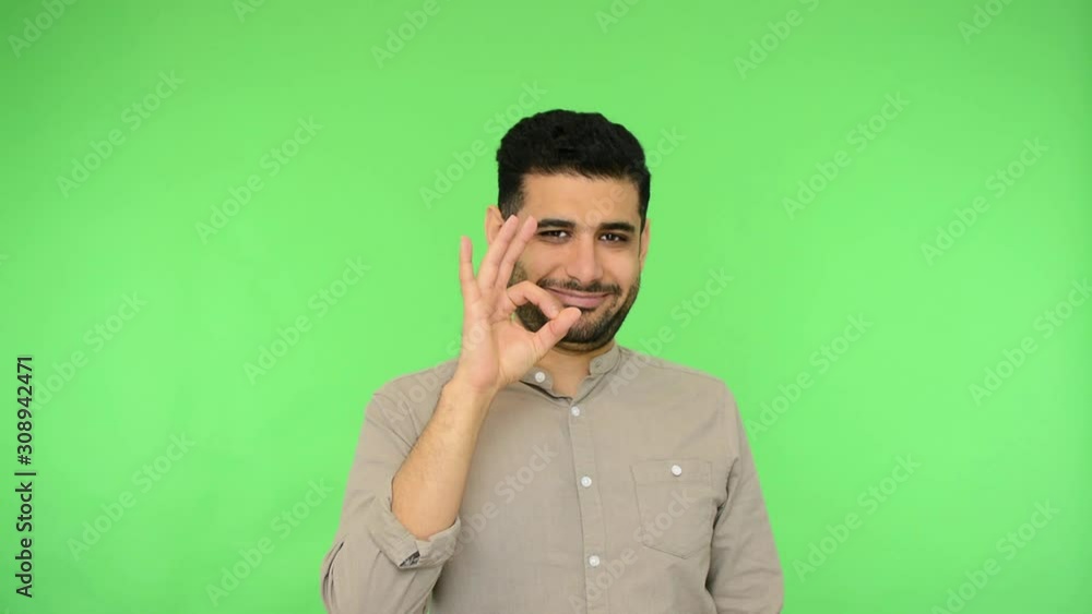 Everything is fine. Happy brunette man in shirt showing ok gesture and winking, expressing respect and approval, agree satisfied with suggestion. indoor studio shot, green background, chroma key Everything is fine. Happy brunette man in shirt showing ok gesture and winking, expressing respect and approval, agree satisfied with suggestion. indoor studio shot, green background, chroma key