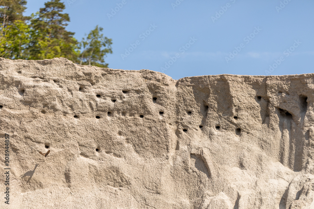 Nesting place for the Sand Martin, or Bank swallows - Riparia riparia - nest colony against a blue sky