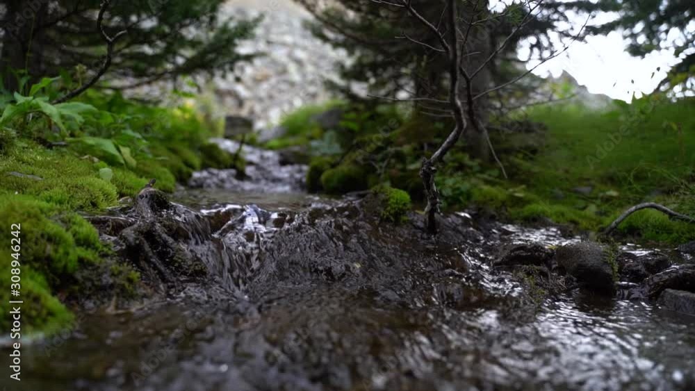 Woodland Scene of Water running down between Moss, Realtime Static Woodland Scene of Water running down between Moss, Realtime Static