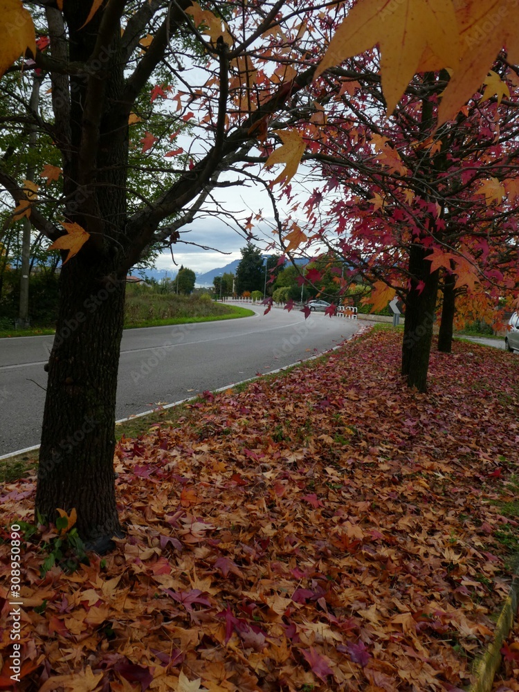Italian Autumn Italian Autumn