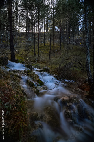 river in the forest