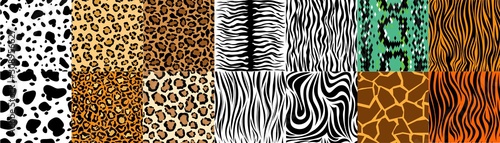 Collection of natural seamless patterns with coat, skin of fur textures of wild exotic animals - zebra, snake, tiger, leopard, giraffe. Flat vector illustration for wrapping paper, textile print.