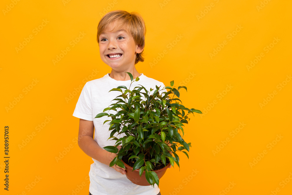 blond european boy with leafy pot plant on yellow background