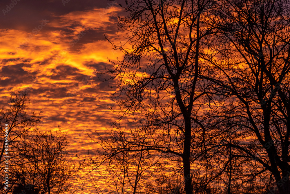sunrise sunset in the forest sunrise sunset in the forest