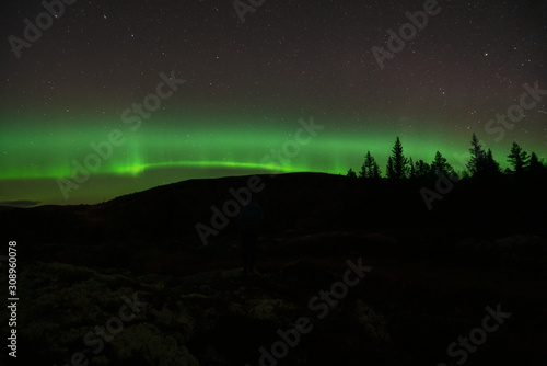 Northern lights/aurora borealis and starry sky from outdoors in the middle of the forest. Galaxy, astronomy and nature phenomenon concept.