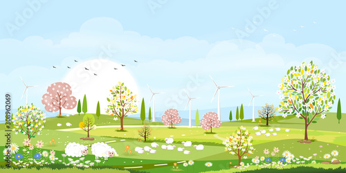 Panorama view of spring village with goats, sheeps and windmills on hills with blue sky and clouds, Vector cartoon Spring or Summer landscape,Eco village or Organic farming concept
