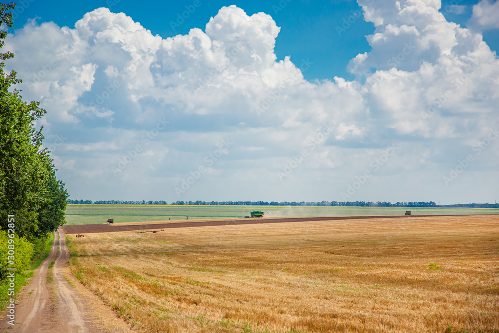 Harvester in the field harvest. Rural landscape of sky and field.