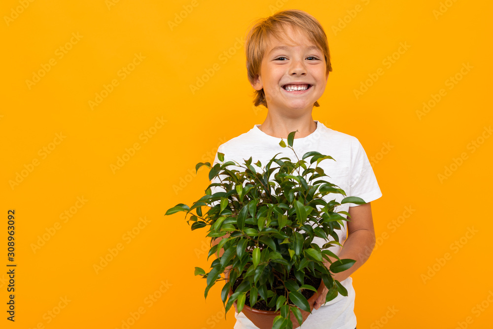 blond european boy with leafy pot plant on orange background blond european boy with leafy pot plant on orange background