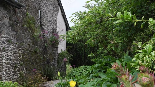 English country garden pond and flowers