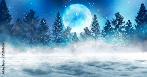 Dark winter forest background at night. Snow, fog, moonlight. Dark abstract winter forest background.  Dark neon night background in the forest with moonlight. Night view, magic © MiaStendal