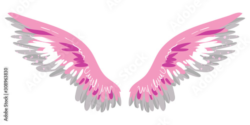 beautiful magic pink wings, freedom and hapiness, vector