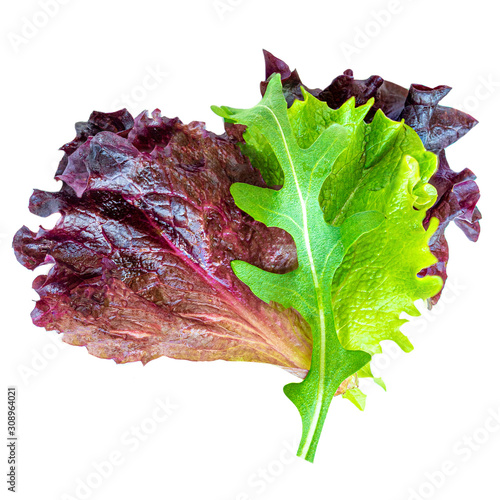 Salad leaves Isolated.  Mixed Salad leaves with Spinach, Chard, lettuce, rucola on white background. Flat lay.