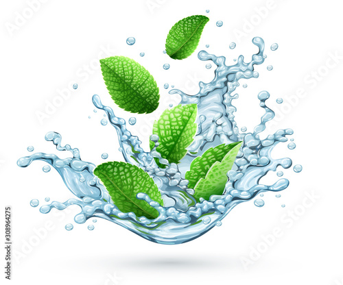 Realistic vector water splash with green peppermint leaves falling down. Fresh cool herbal drink with brandy mint for mojito or lemonade. Isolated on transparent white background. Vector illustration.