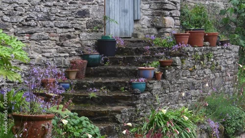 English country garden pond and flowers