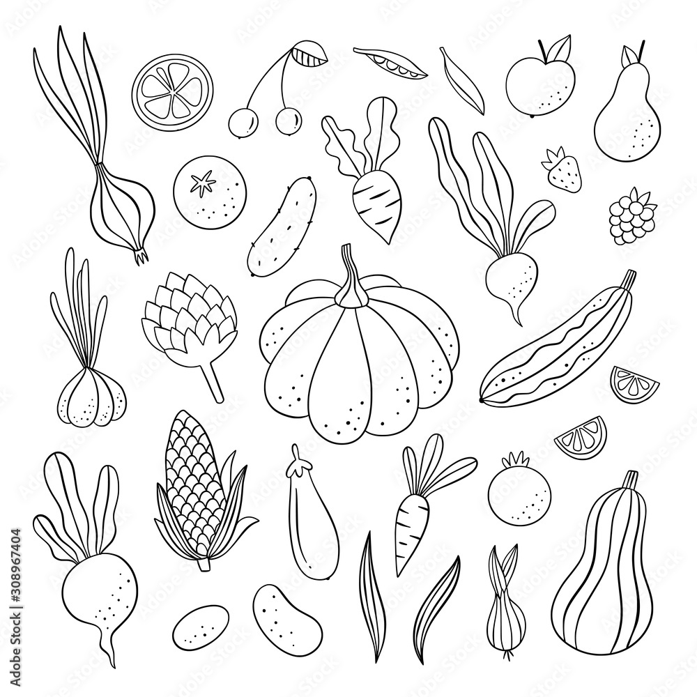 Fototapeta premium Vegetables, fruit and berries vector collection. Outline doodle food on white background. Gardening and farming set