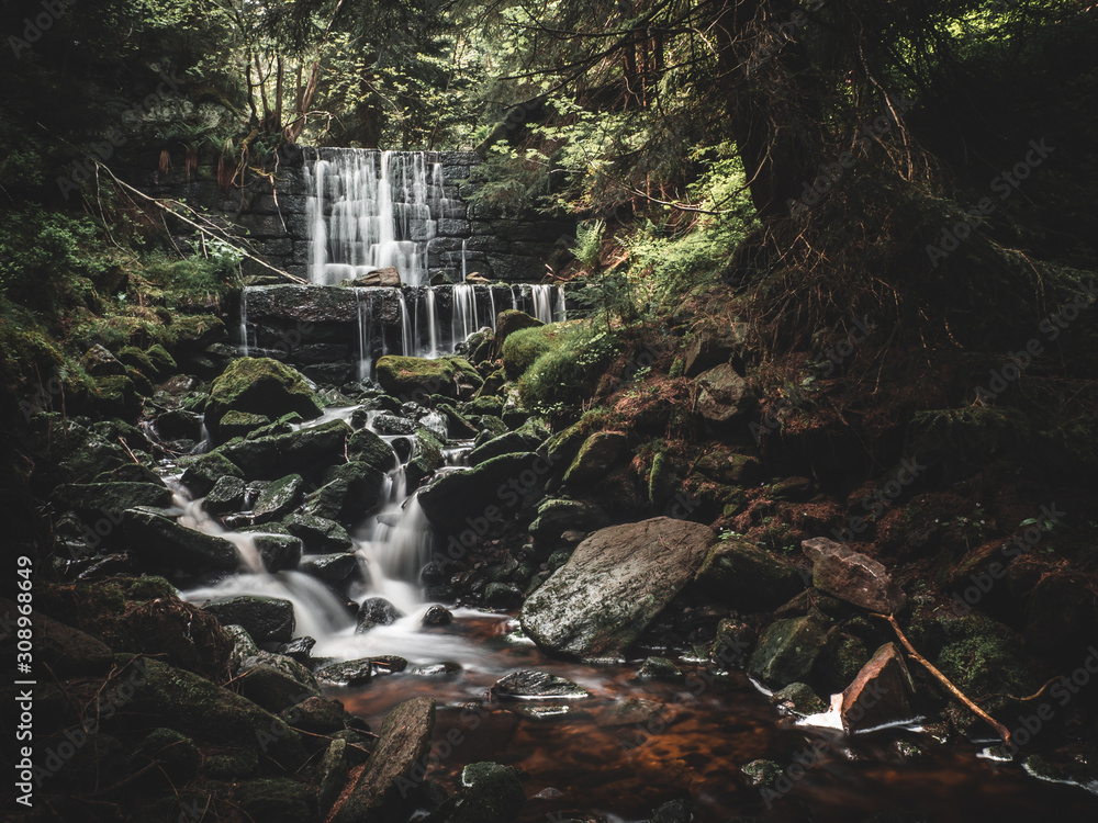 Fototapeta premium waterfall in the forest