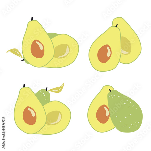 Set with avocado fruit on white background. Vector illustration for printing.