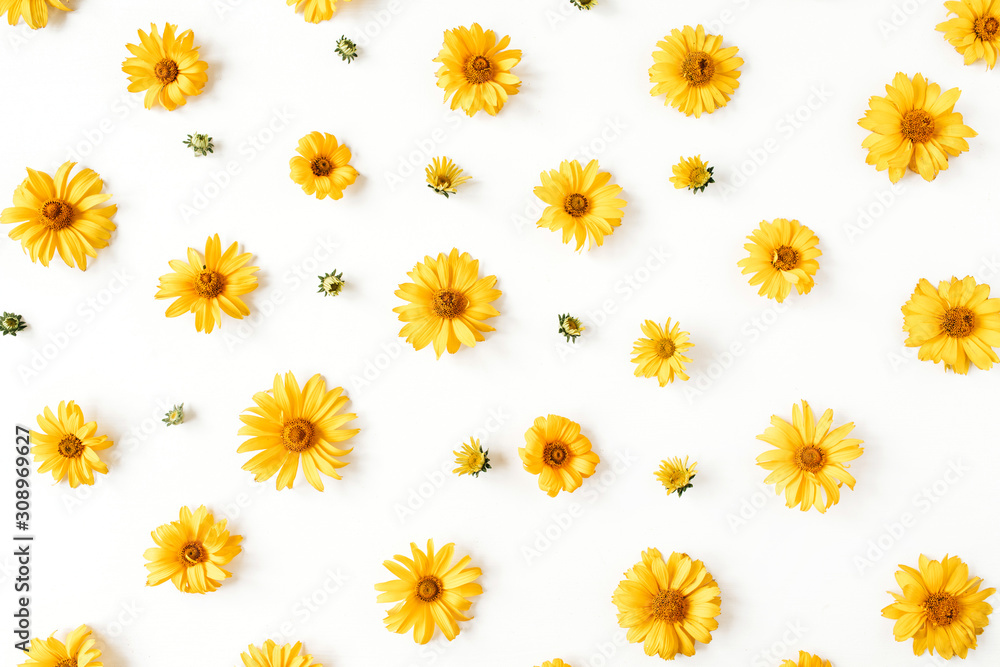 Flat lay yellow daisy flower buds pattern on white background. Top view floral texture. Flat lay yellow daisy flower buds pattern on white background. Top view floral texture.
