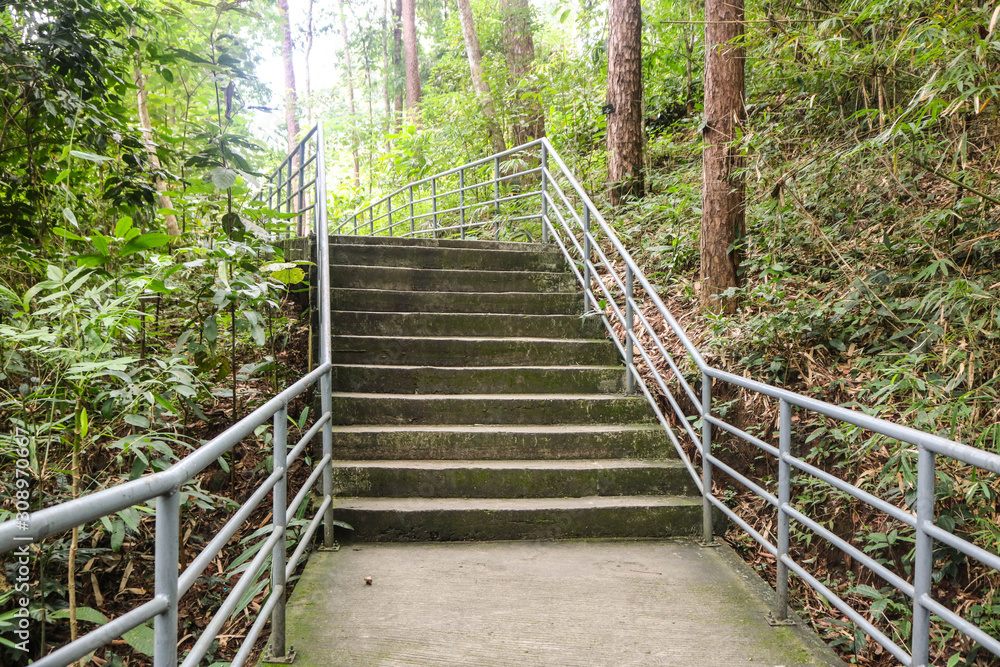 Concrete steps of stairs and metal handrail into canopy walkway at Queen Sirikit Botanic Garden, Chaing mai, Thailand Concrete steps of stairs and metal handrail into canopy walkway at Queen Sirikit Botanic Garden, Chaing mai, Thailand