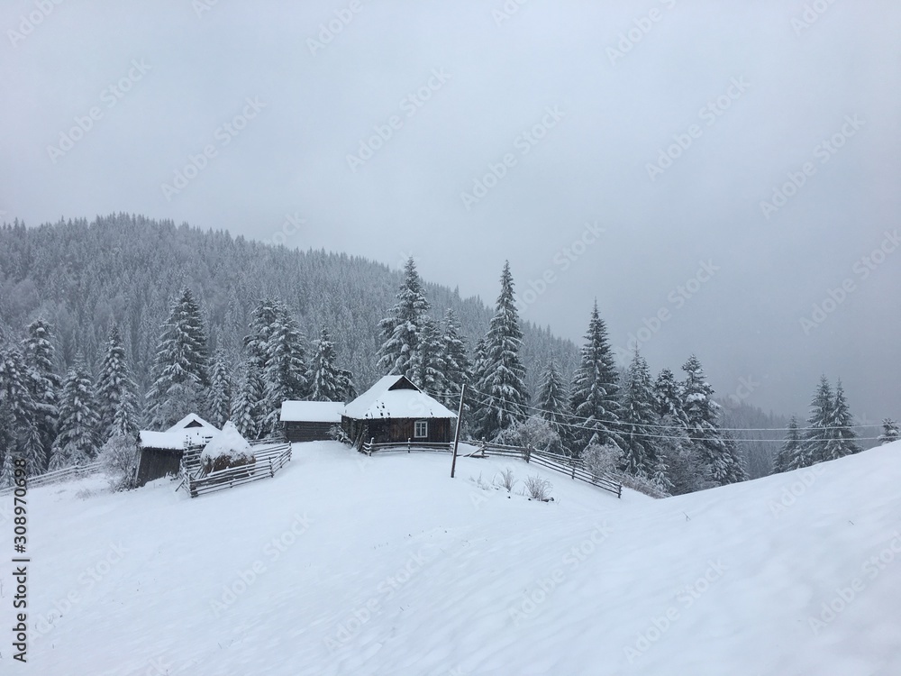 Winter mountain landscape in foggy Carpathians Winter mountain landscape in foggy Carpathians
