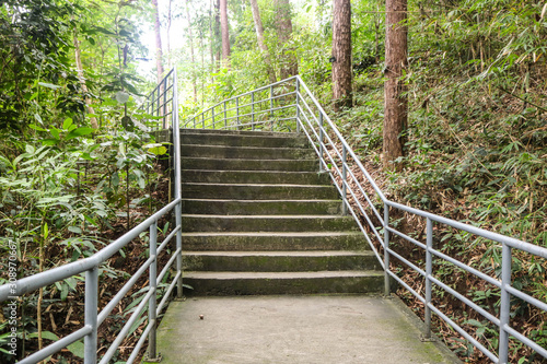 Fototapeta Naklejka Na Ścianę i Meble -  Concrete steps of stairs and metal handrail into canopy walkway at Queen Sirikit Botanic Garden, Chaing mai, Thailand
