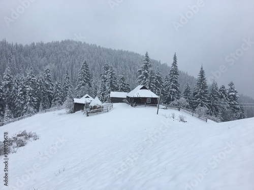 Wallpaper Mural Winter mountain landscape in foggy Carpathians Torontodigital.ca