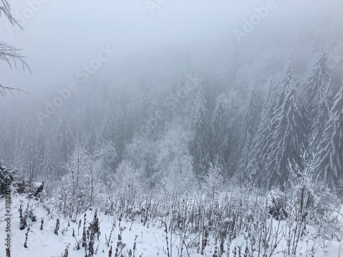 Wallpaper Mural Winter mountain landscape in foggy Carpathians Torontodigital.ca