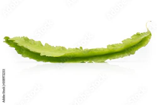 Young Winged Beans (Psophocarpus tetragonolobus) isolated on the white background photo