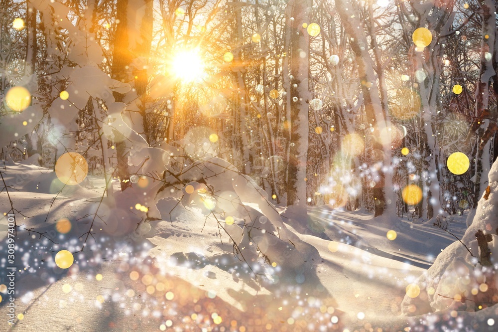Winter. Winter.