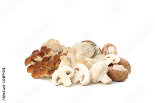 Group of different mushrooms isolated on white background