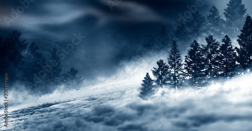 Dark winter forest backgrou...