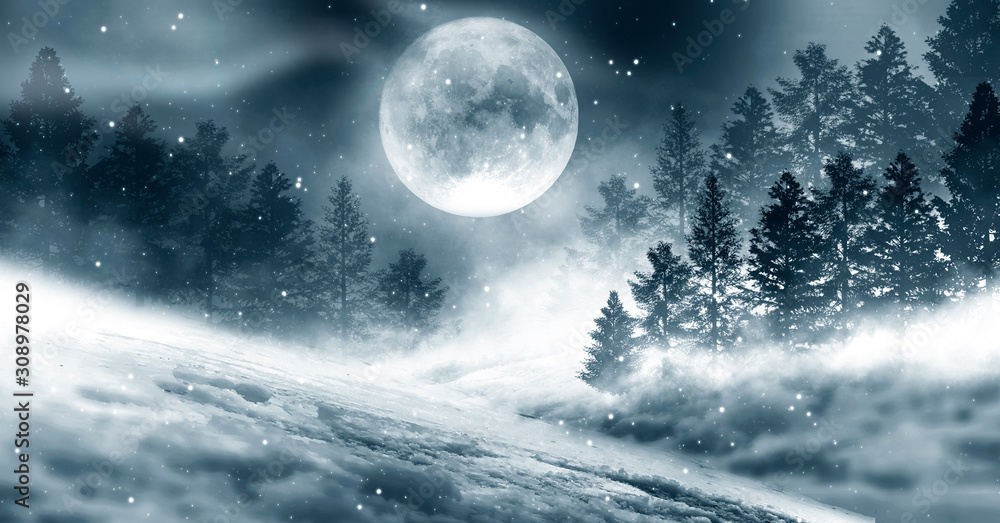 Fototapeta premium Dark winter forest background at night. Snow, fog, moonlight. Dark neon night background in the forest with moonlight. Neon figure in the center. Night view, magic.