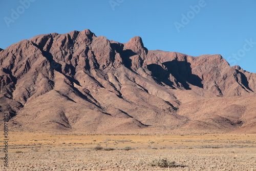 Open dry savannah arid landscape with tall grass and desert shrubs in Namibia safari