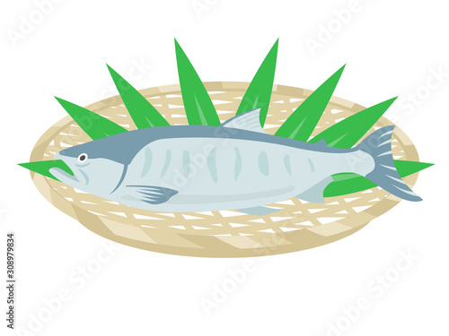 鮭のイラスト