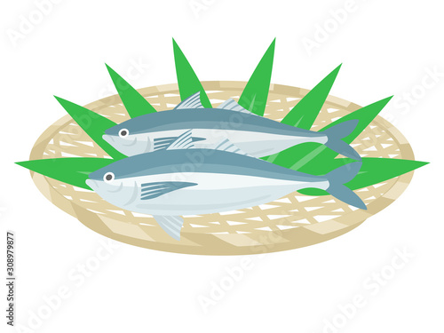 アジのイラスト