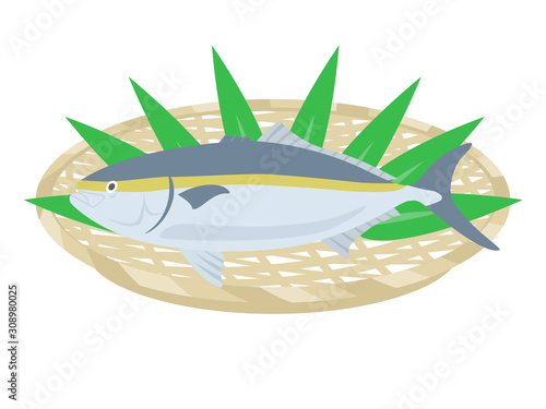 鰤のイラスト