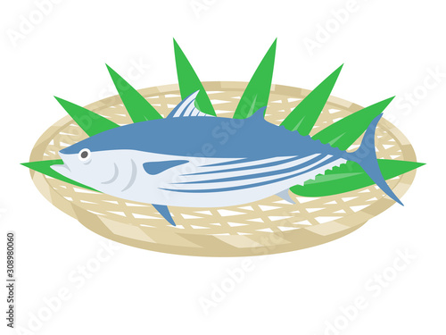 カツオのイラスト