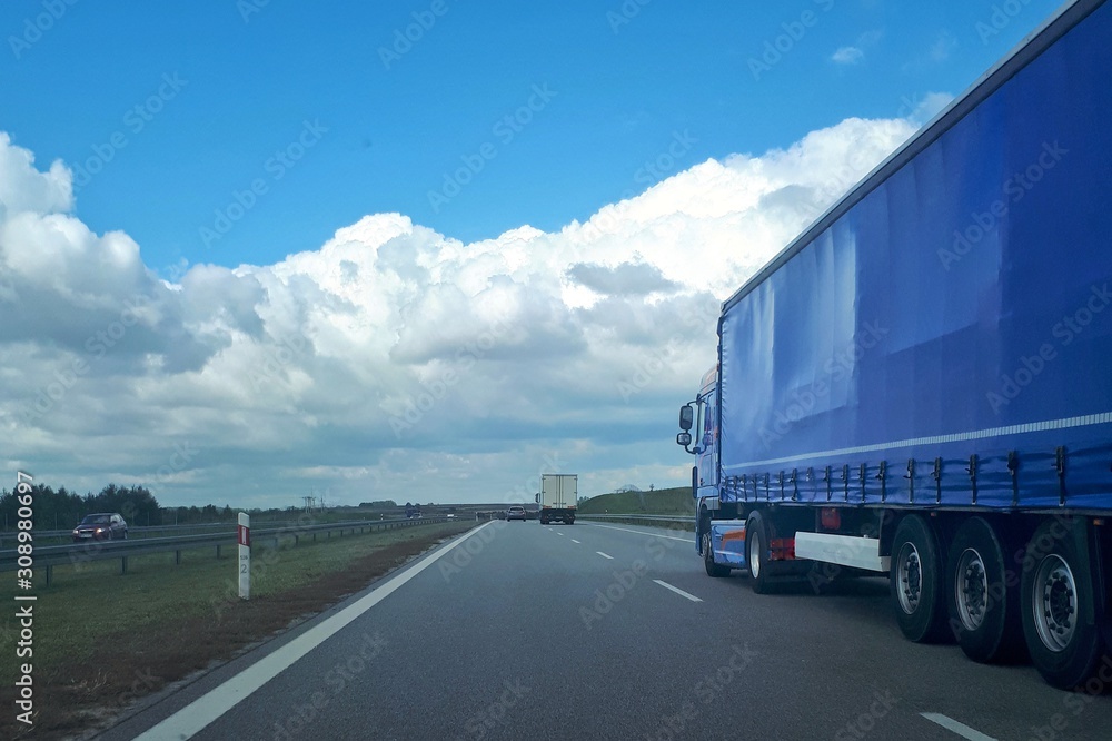Loaded European truck transporting cargo. Truck on asphalt road. Logistic and transport concept.
