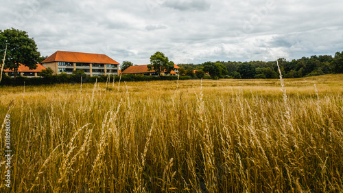 Houses behind field