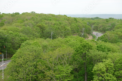 Landscape of Kushiro bog (the biggest bog in Japan / Hookaido) photo