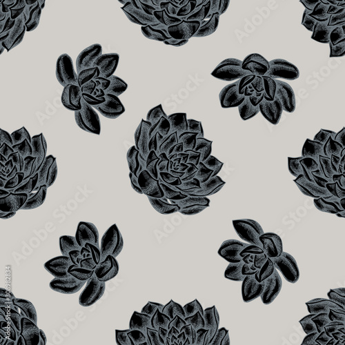 Seamless pattern with hand drawn stylized succulent echeveria